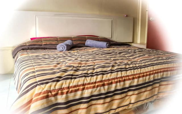 True Hostel - photo 4