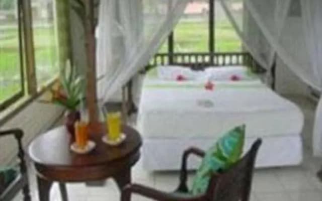 Ina Inn - photo 5