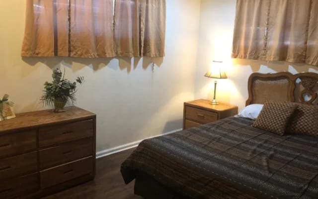 Comfy Studio Suite - photo 4