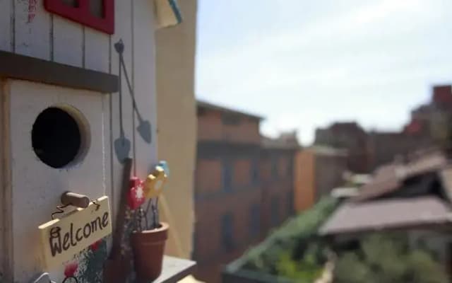 Baccina Suite - photo 5