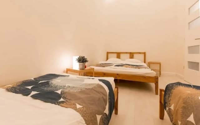 Erzsébet Spa Apartment - photo 4