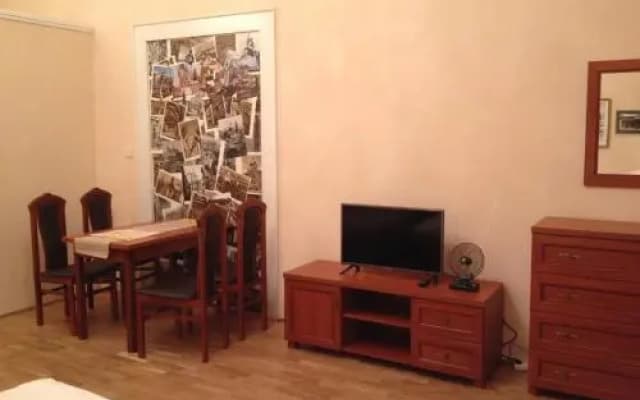 Pension Karlova - photo 3