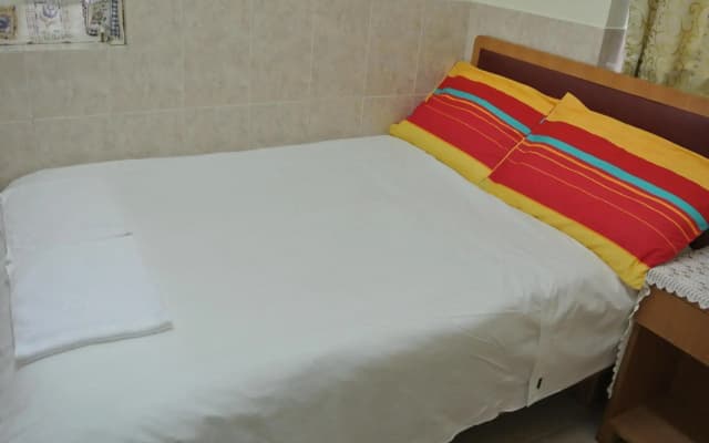 Fortunate Guest House - photo 3