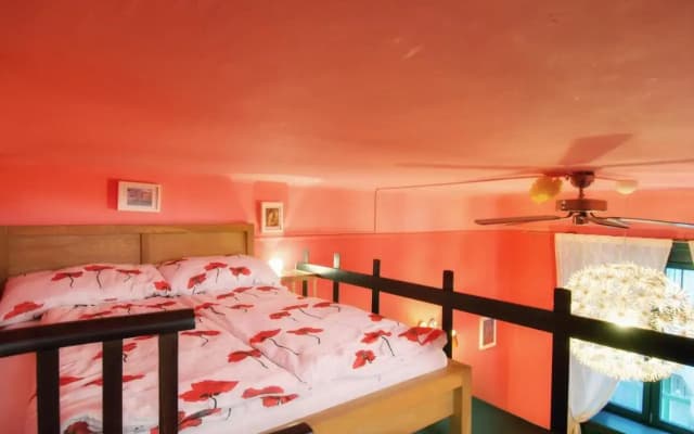 Raday Apartments Budapest - photo 3