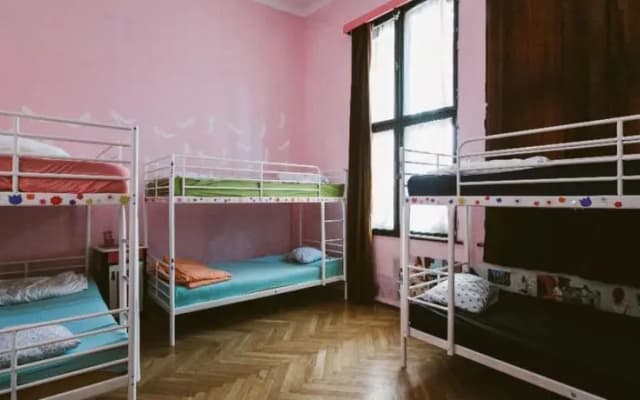 FunkNBunk Hostel - photo 2