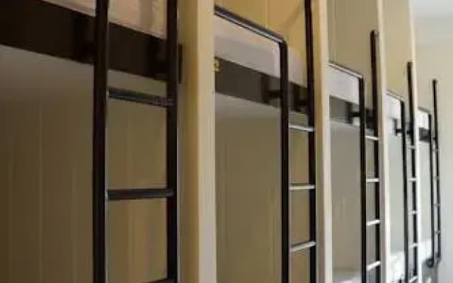 Eco Backpackers Hostel - photo 4