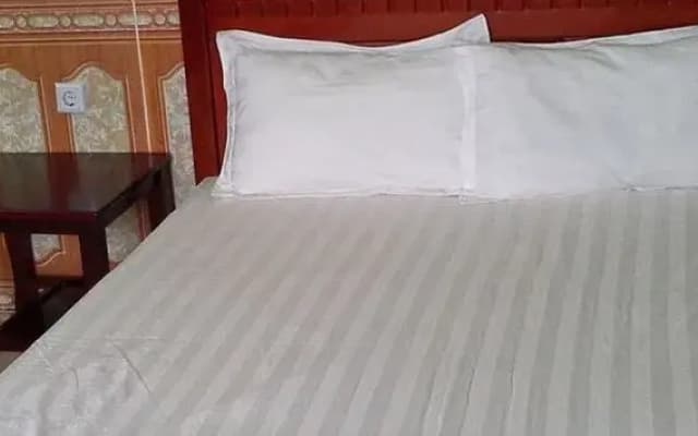 Avi Transit Hotel - photo 4