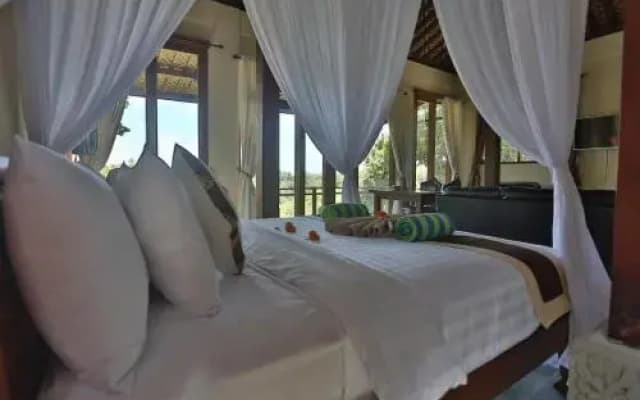 Bali Ubud Villa View - photo 4