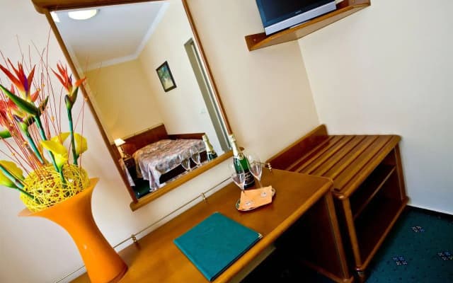 Hotel Melantrich - photo 5