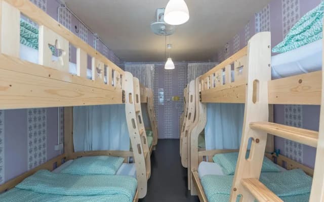 Tiger Lily Hostel - photo 2