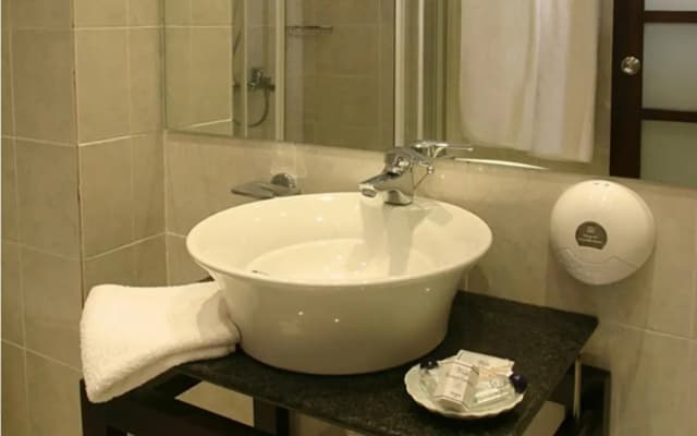 The Alassia Hotel - photo 4