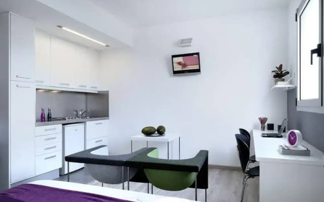 Bbarcelona Aragó Terrace Flat - photo 5