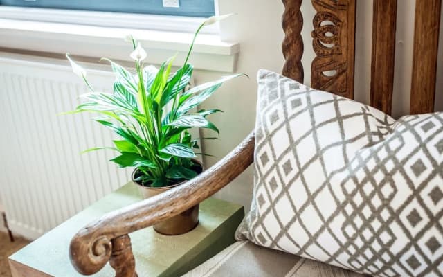 Our Eclectic Castle View Apartment - photo 3