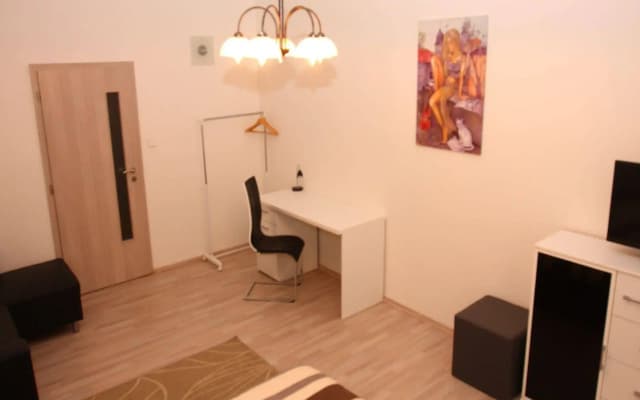 Apartments Mikovec - photo 3