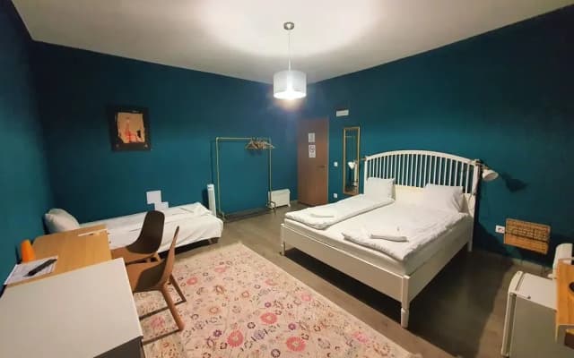 Vik Rooms Budapest - photo 5