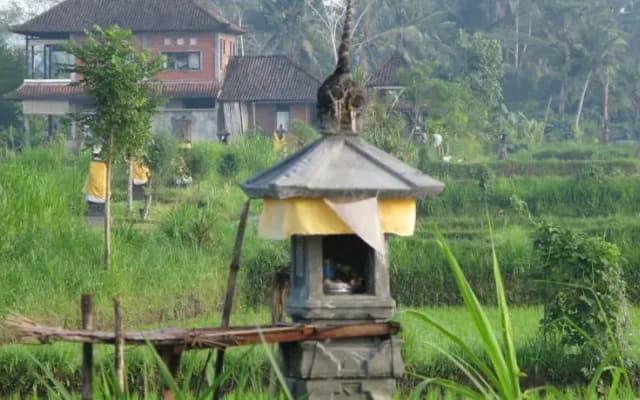 Swallow Guesthouse - photo 4