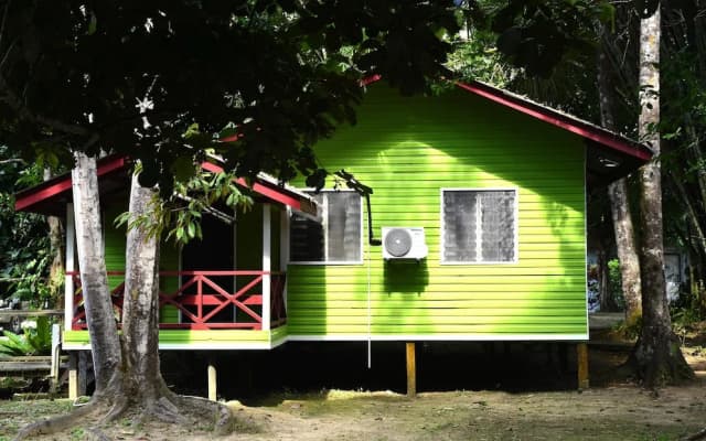Sukau Greenview Bed and Breakfast - photo 3