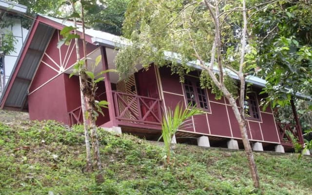 Holiday View Inn Taman Negara - photo 3