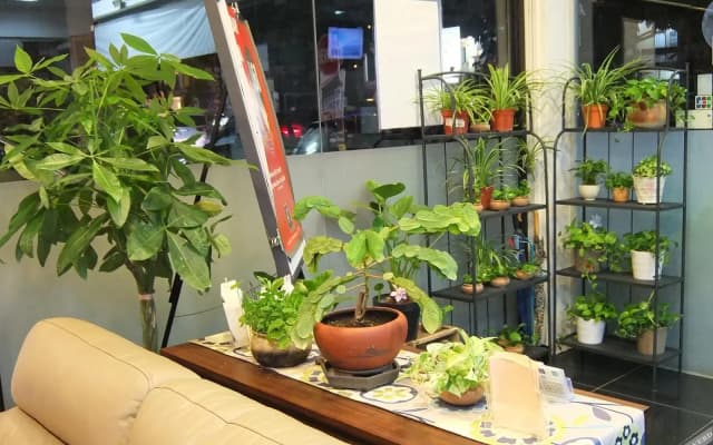 Calla Hotel - photo 2