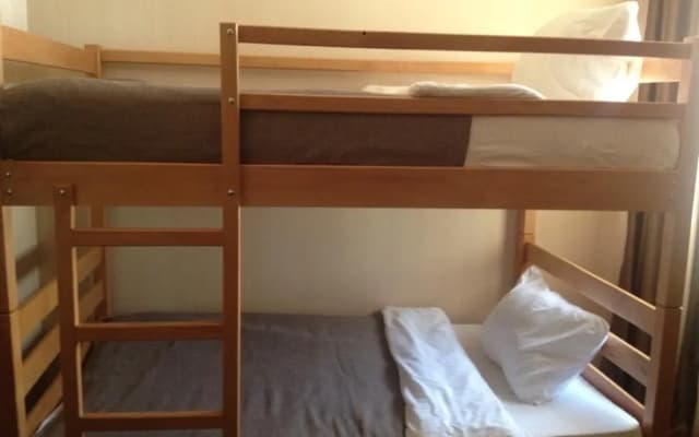 Orion Hostel Plus - photo 2