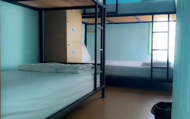 Ozone Beach House & Rooms - photo 4