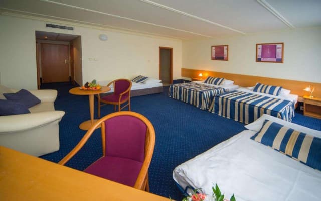 TOP HOTEL Praha & Conference Centre - photo 4