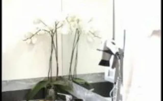 Alex Inn - photo 5