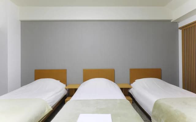 Meldia Hotel Kyoto Nijo - photo 3