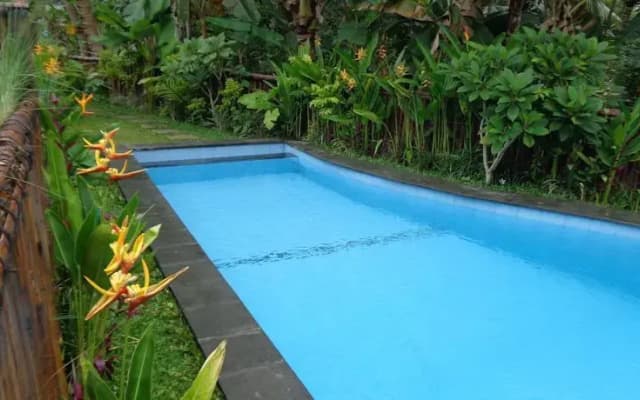 Okawati 2 House - photo 5