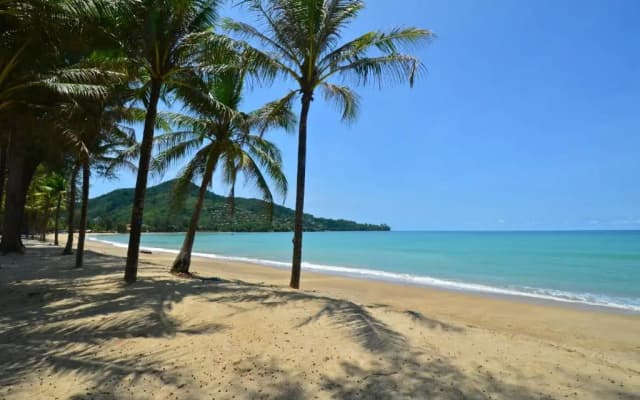 PapaCrab Boutique Guesthouse - photo 2