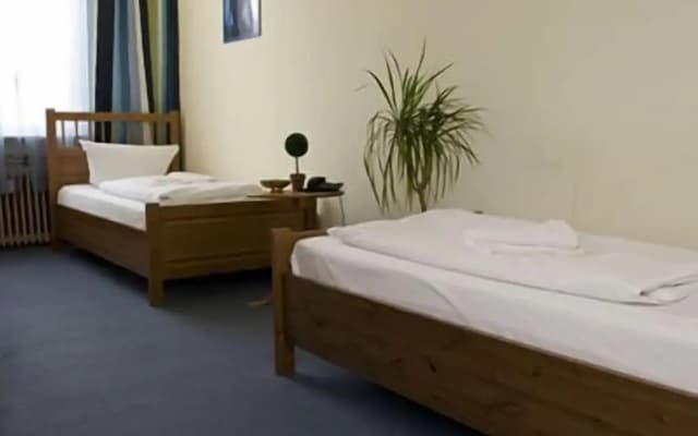 Hotel Pension Rheingold - photo 3