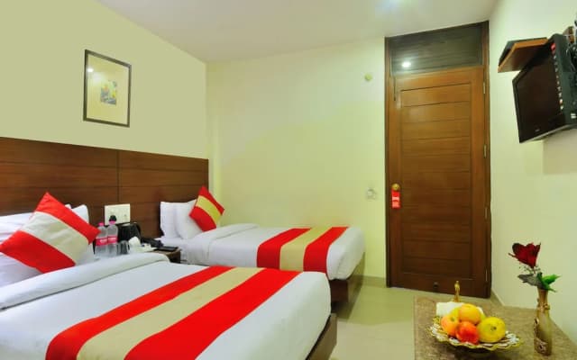 Hotel The Raj, New Delhi - photo 4