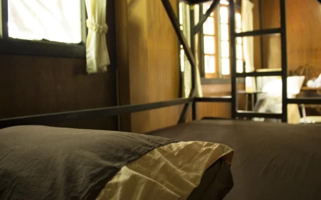 Jungle Gym & Eco Lodge - Hostel - photo 4