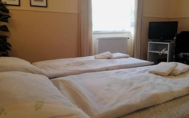 Hotel Wertheim - photo 5