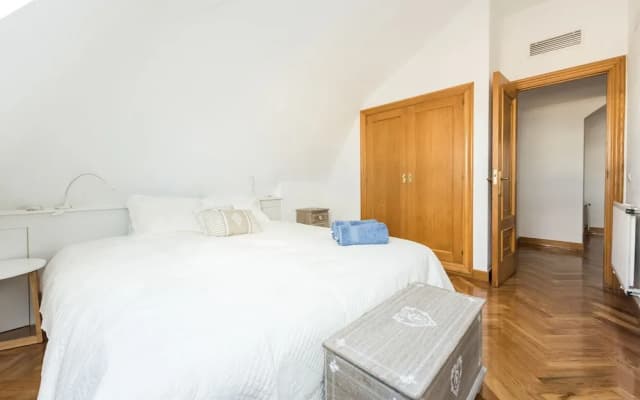 Atico Duplex Barrio Salamanca - photo 4