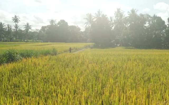 Amara Giri 1 - photo 3