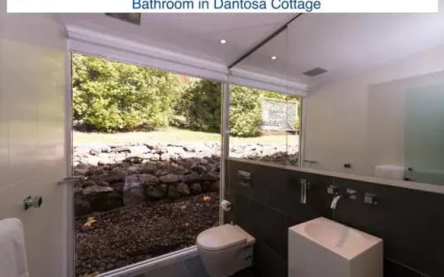 Dantosa Blue Mountains Retreat - photo 4