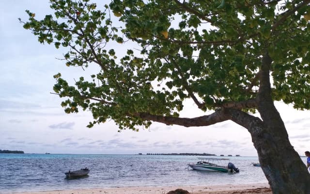 Medhufaru Inn - photo 3