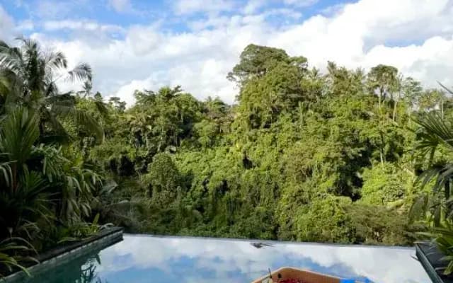 The Clifton Villas Ubud - photo 3