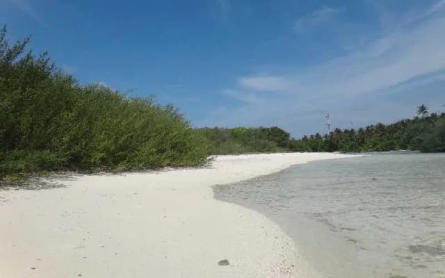 Thulusdhoo Stay Guest House - photo 5