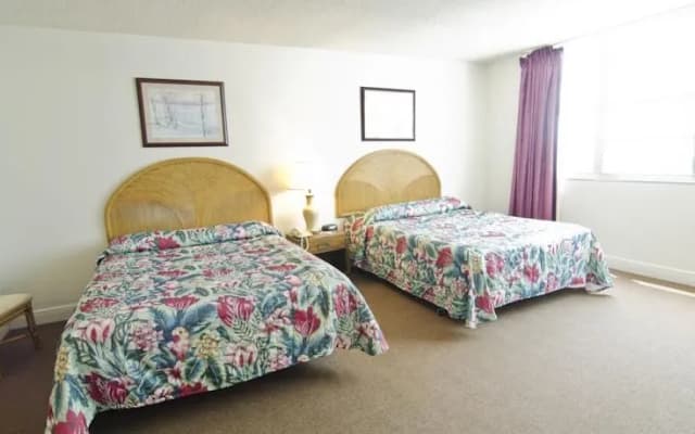 Four Ambassadors Apartments - photo 4