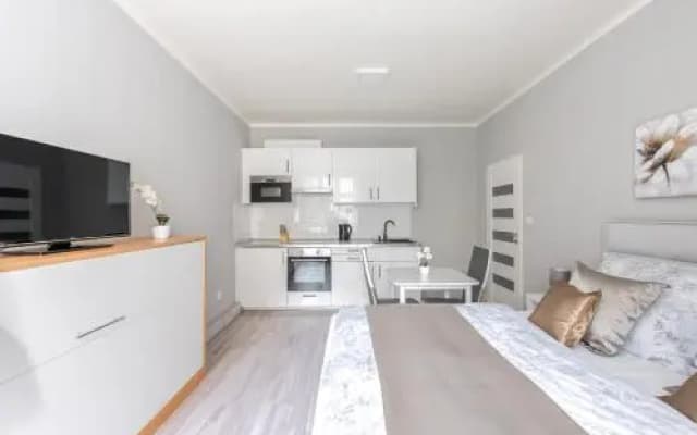 City apartment Slezská - photo 4