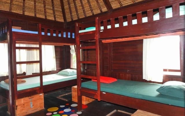 Mandala Hostel Ubud - photo 4