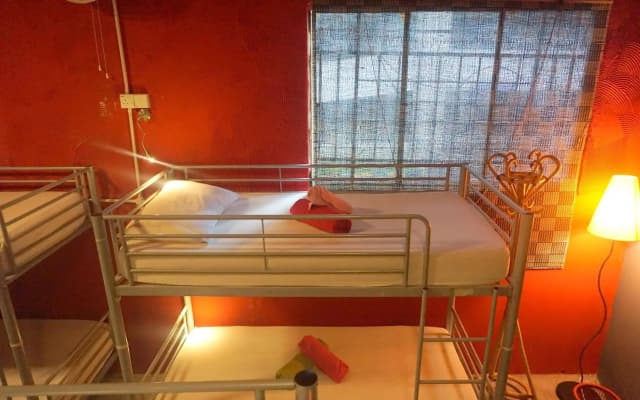 Tropical Guesthouse - photo 3