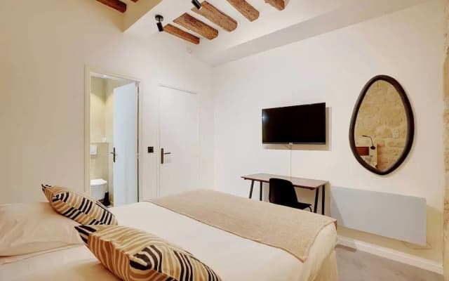 Amazing 3 BDR - Place des Vosges - photo 3