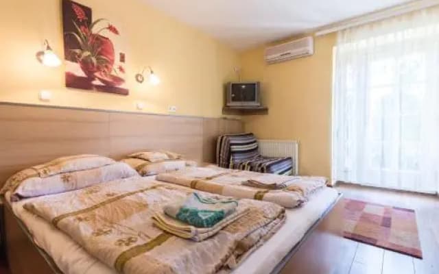 Mohacsi Guesthouse - photo 4