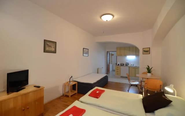 Apartments Karlin - photo 4