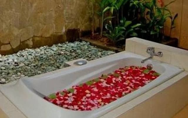 Dedari Villa - photo 4