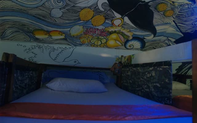 Peacock Hostel - photo 2