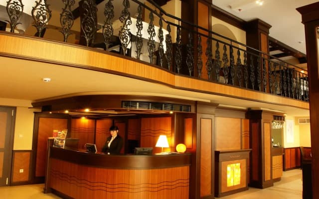 Residence Baron Hotel - photo 2